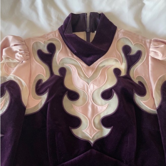 Zimmermann Ladybeetle Mystic Velvet Dress - Picture 2 of 9